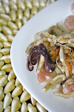 Seafood and cloth made of shells.の写真素材