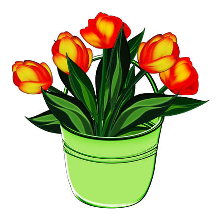 Illustration of a bucket with a bouquet of tulips on a white background の写真素材