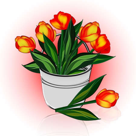 Illustration of a bucket with a bouquet of tulips の写真素材