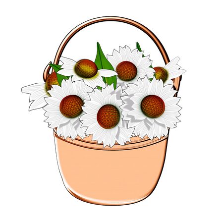 Illustration  A bucket with a bouquet of daisies on a white background の写真素材