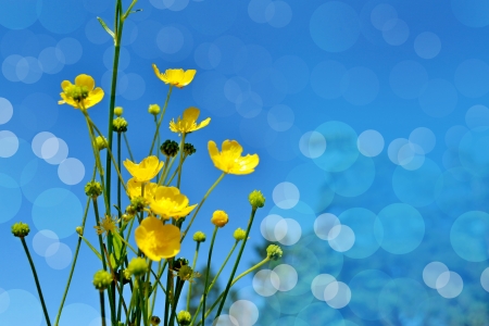 Background of flowers.の写真素材