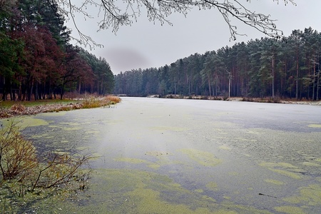 Lake  Landscape の写真素材