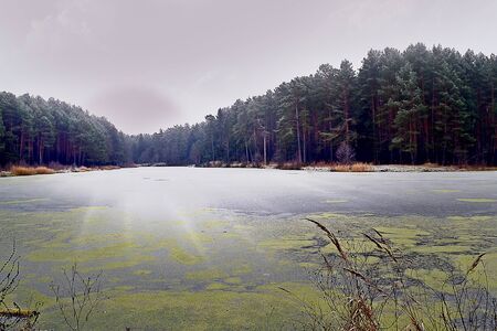 Lake  Landscape の写真素材