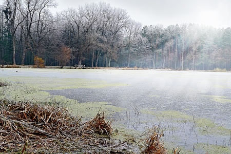 Autumn  Lake  の写真素材