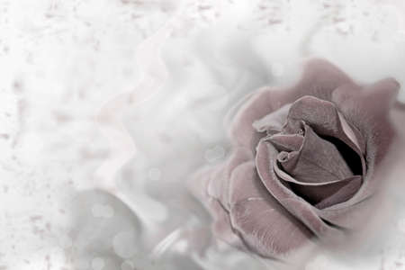 Background. Rose. A flower in a retro style.の写真素材