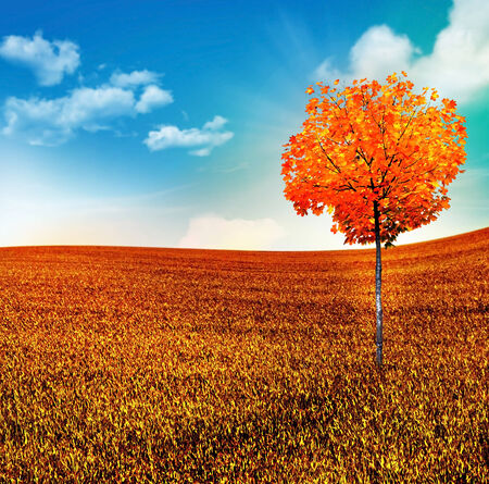 autumn landscapeの写真素材