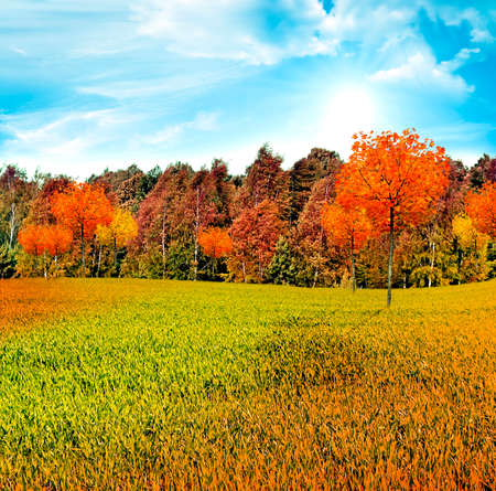 autumn landscapeの写真素材