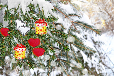 Spruce decorated giftsの写真素材