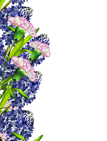 hyacinth flower isolated on white backgroundの写真素材