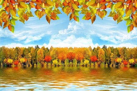 autumn landscapeの写真素材