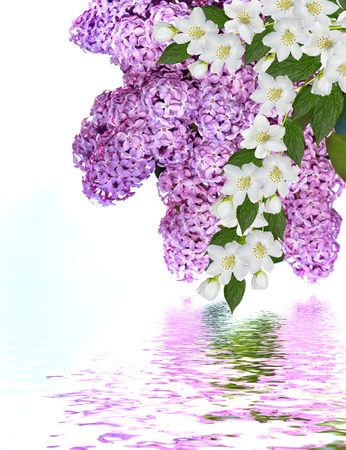 Lilac branch on a background of blue sky with clouds. jasmineの写真素材
