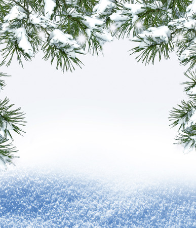 Background of snow. Winter landscape. Photo.の写真素材