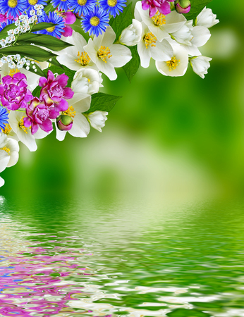Spring landscape with delicate jasmine flowersの写真素材