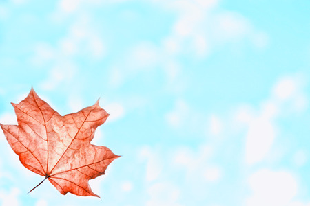 autumn landscape with bright colorful foliage. Indian summer.