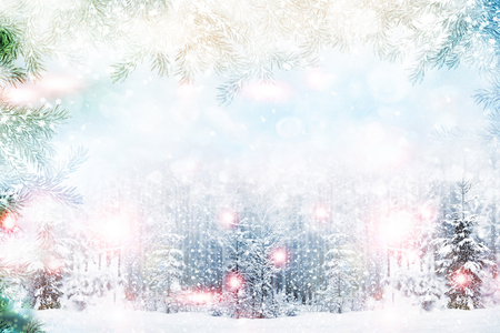 forest in the frost. Winter landscape. Snow covered trees. Christmas background.の写真素材