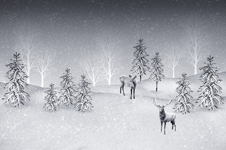 forest in the frost. Winter landscape. Snow covered trees. Collage of photos of fir trees and deer.の写真素材