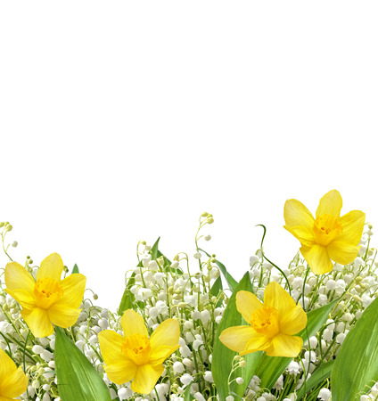 Spring flowers lily of the valley and daffodils isolated on white background.の写真素材