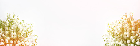 Lily of the valley flower on white backgroundの写真素材