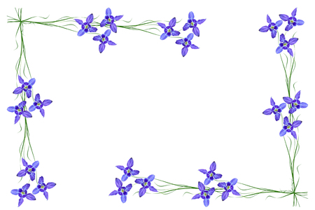 Blue flowers bells isolated on white backgroundの写真素材