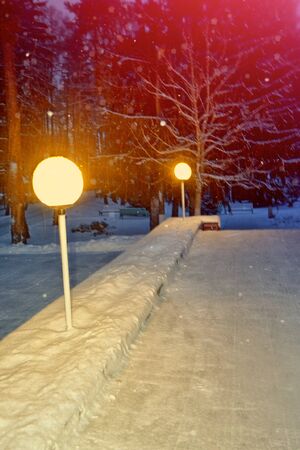 Night time. Winter park with lanterns. Landscape.