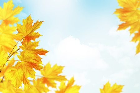 autumn landscape with bright colorful foliage. Indian summer.の写真素材