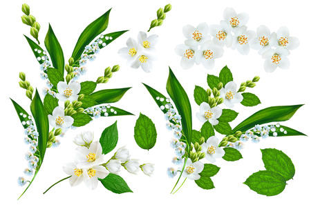 Spring flowers lily of the valley and jasmine isolated on white background.の写真素材
