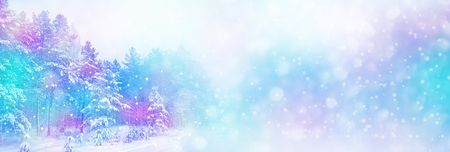 Frozen winter forest with snow covered trees.の写真素材