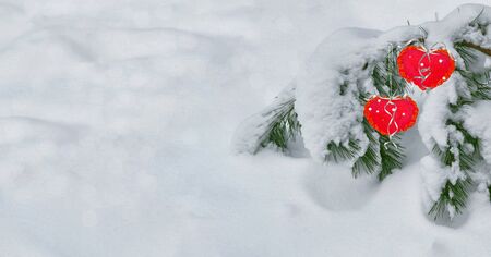 Snow-covered tree. Festive winter background. Two hearts.の写真素材