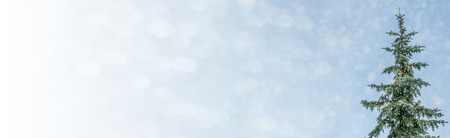 Frozen winter forest with snow covered trees.の写真素材