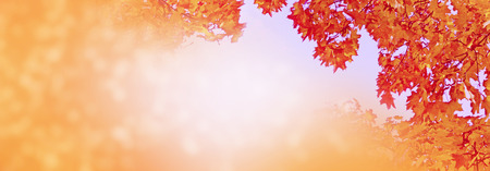 autumn landscape with bright colorful leaves. Indian summer.