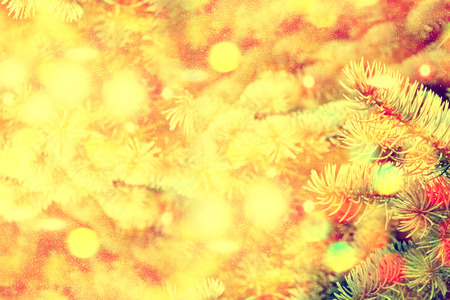 Forest in the frost. Winter landscape. Snow covered trees.の写真素材