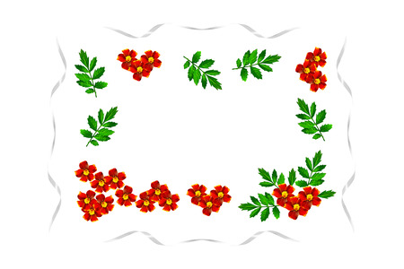 Autumn flowers marigolds isolated on white background.の写真素材