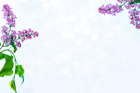 Bright and colorful flowers lilac
on the background of spring landscape.の写真素材