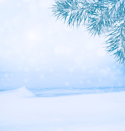 Frozen winter forest with snow covered trees.の写真素材