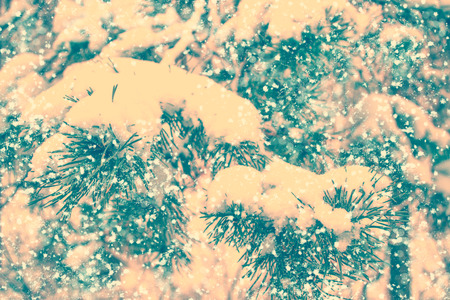 Blurred background. Frozen winter forest with snow covered trees.の写真素材