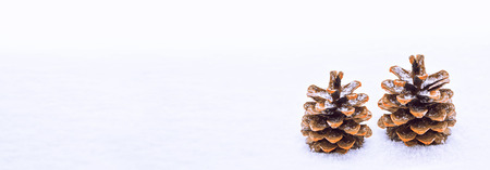 Christmas card. Pine cone in the snow.