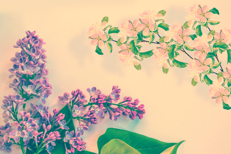 Bright and colorful flowers lilac
on the background of spring landscape.の写真素材