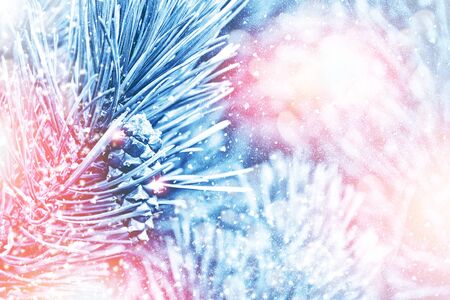 forest in the frost. Winter landscape. Snow covered trees.の写真素材