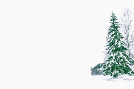 Frozen winter forest with snow covered trees. outdoorの写真素材