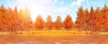Blur. Autumn landscape. Trees with bright colorful leaves. outdoorsの写真素材