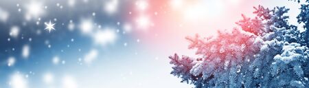 Frozen winter forest with snow covered trees. outdoor
