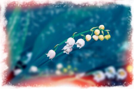 Spring landscape. flowers lily of the valley. outdoorsの写真素材