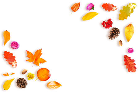 Autumn composition of bright colorful leaves, flowers, berries. Set.