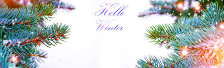 Frozen winter forest with snow covered trees. Coniferous spruce branch. outdoorの写真素材