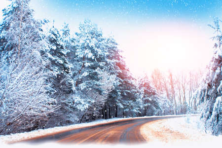 Frozen winter forest with snow covered trees. outdoor