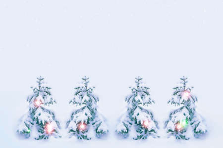 greeting card. Frozen winter forest with snow covered trees.の写真素材