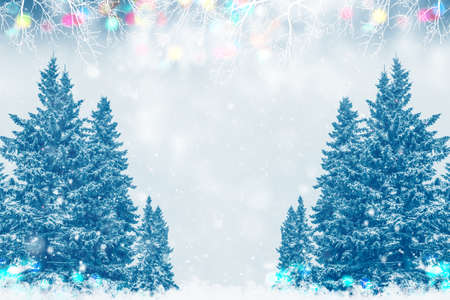 Frozen winter forest with snow covered trees. outdoorの写真素材