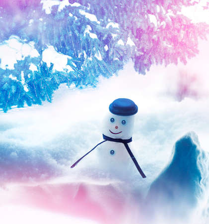 Funny happy snowman. Winter landscape. Merry christmas and happy new year greeting cardの写真素材