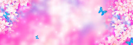 butterfly. Blossoming branch cherry. Bright colorful spring flowers. Beautiful nature sceneの写真素材