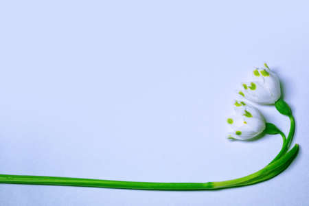 Natural floral background. Delicate spring flowers of snowdrops.の写真素材